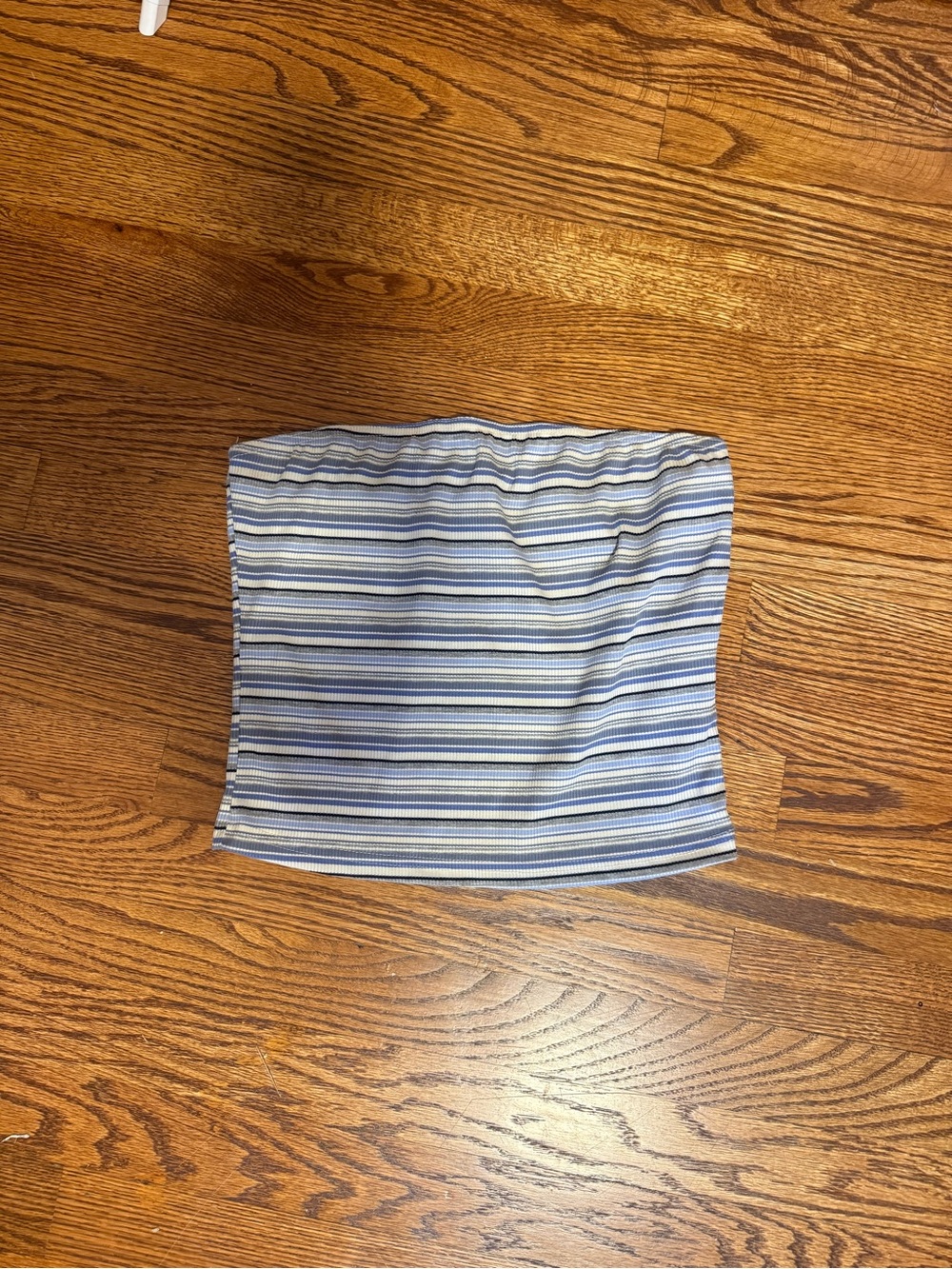 Muse Striped Strapless Top in Blue and White
